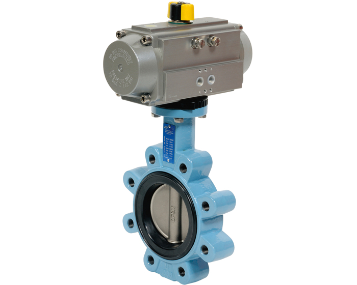Ductile iron butterfly valve 1162 + RE/RES pneumatic actuator